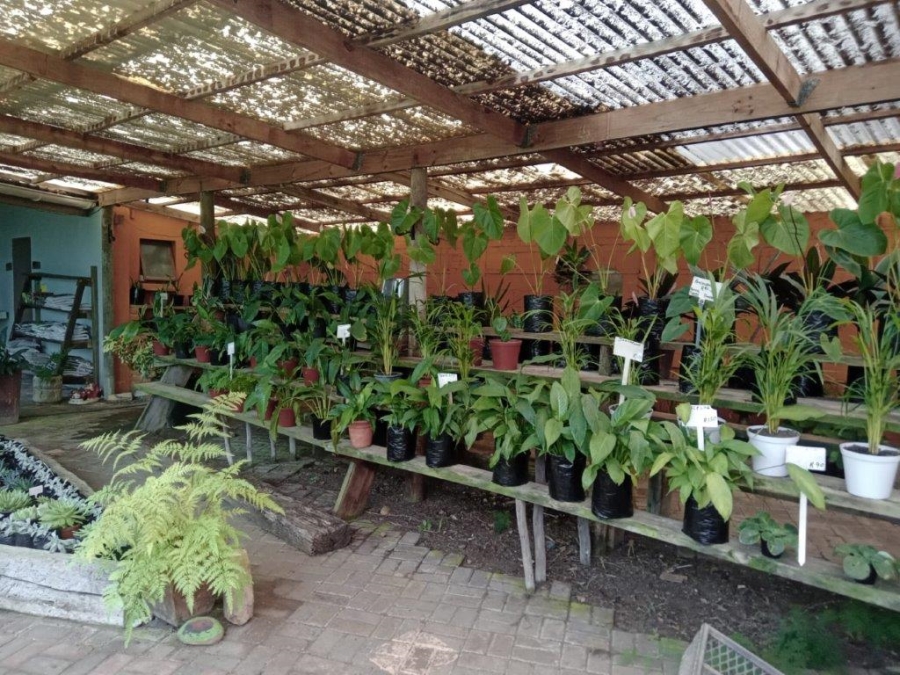 4 Bedroom Property for Sale in C Place Eastern Cape